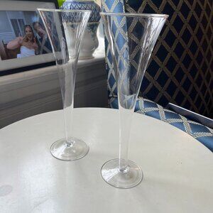 2 Hollow Champagne Flutes Glasses
